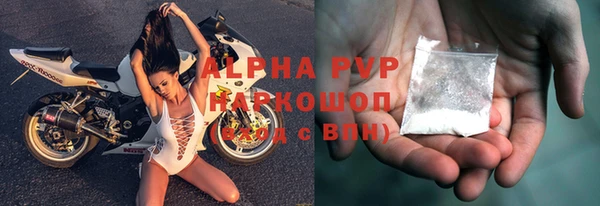 индика Беломорск