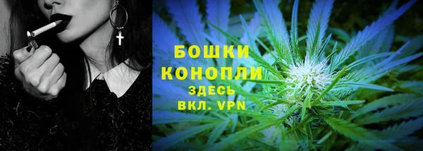 индика Беломорск