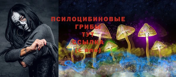 индика Беломорск