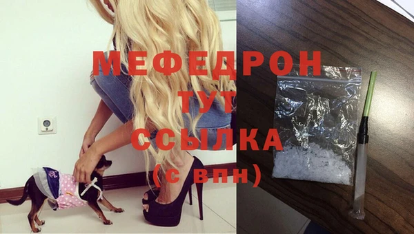 индика Беломорск