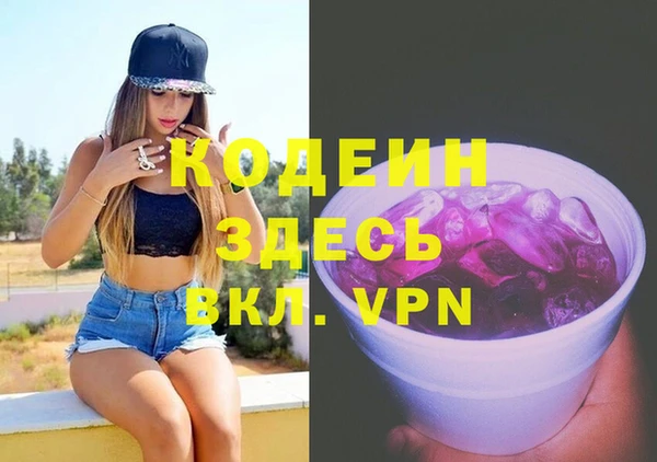 индика Беломорск