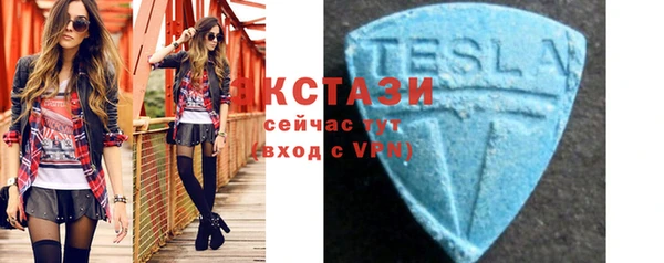 индика Беломорск